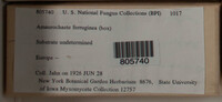 Image Associated With the Occurence